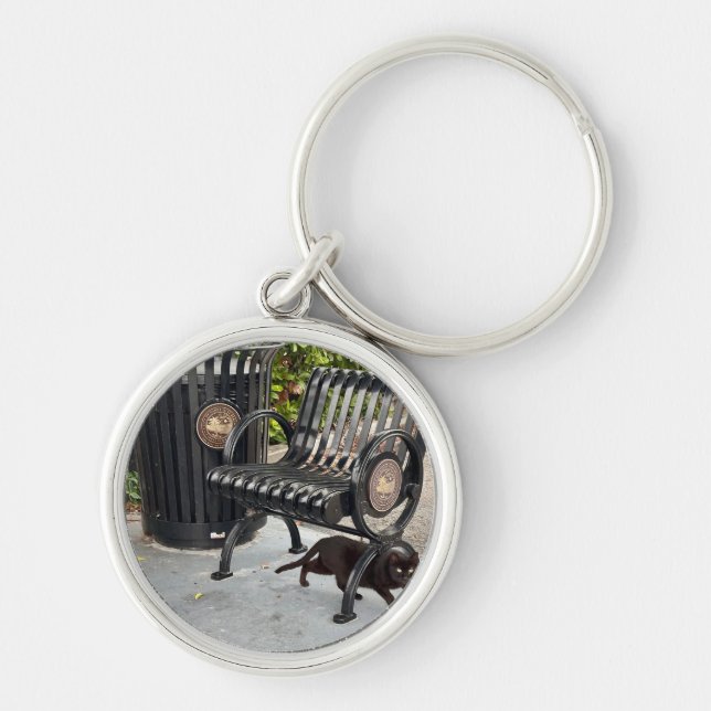 Kitty in The Park Key Ring (Front)
