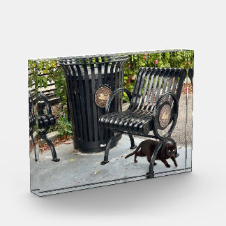 Kitty in The Park Photo Block