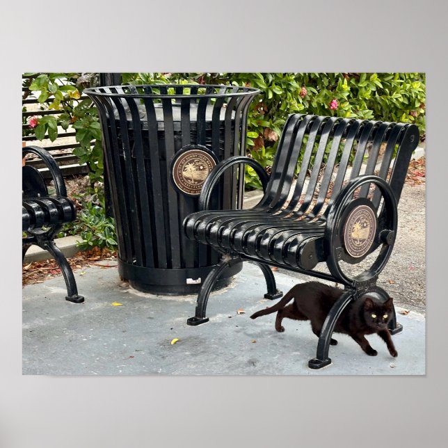 Kitty in The Park Poster (Front)