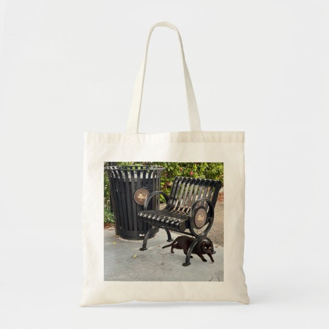 Kitty in The Park Tote Bag (Front)