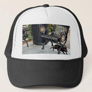 Kitty in The Park Trucker Hat
