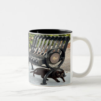 Kitty in The Park Two-Tone Coffee Mug