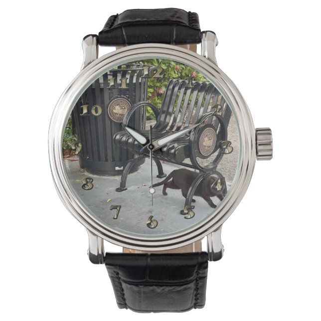 Kitty in The Park Watch (Front)