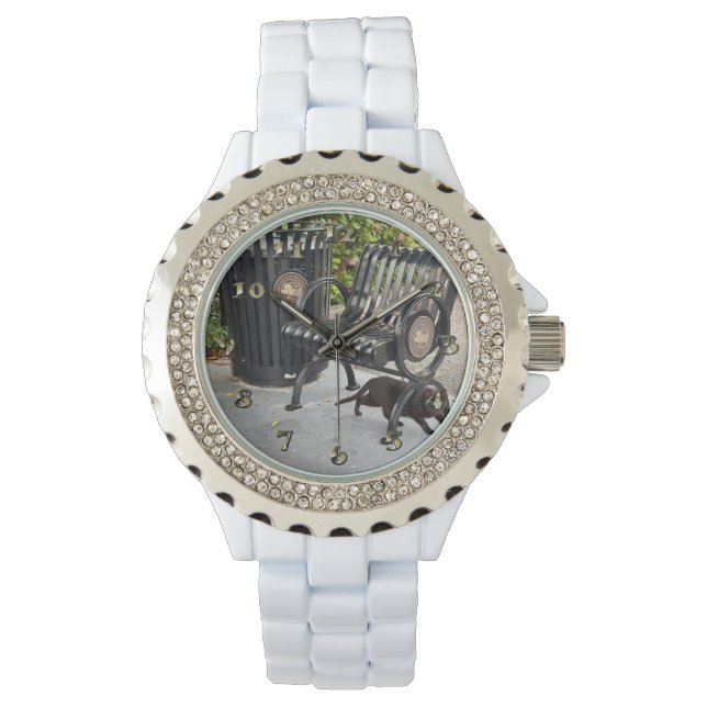 Kitty in The Park Watch (Front)
