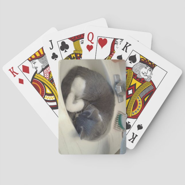 Kitty in the sink playing cards (Back)