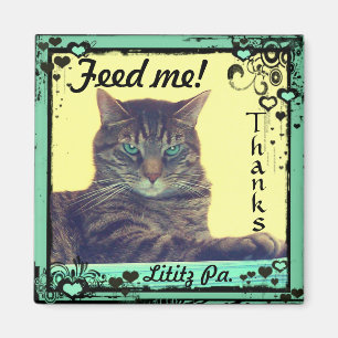 Kitty Inspirations Magnet tabby feed me! Lititz