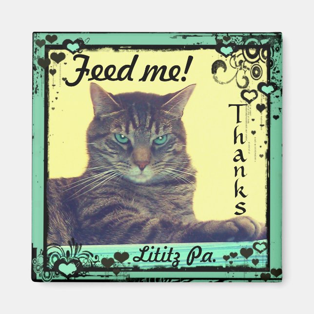 Kitty Inspirations Magnet tabby feed me!  Lititz (Front)