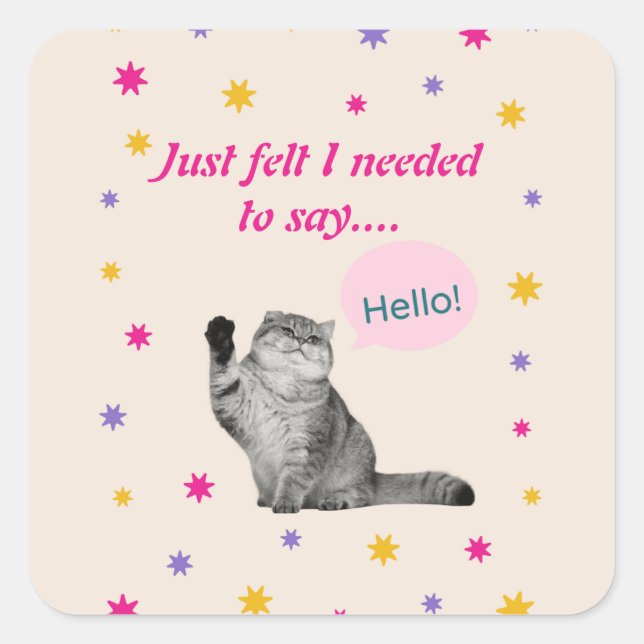 Kitty - Just Felt I Needed To Say Hello Square Sticker (Front)