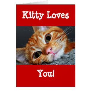 Kitty Kat