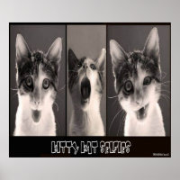 Kitty Kat Selfies Poster