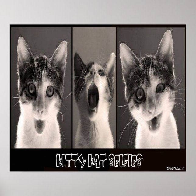 Kitty Kat Selfies Poster (Front)