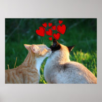 Kitty kiss