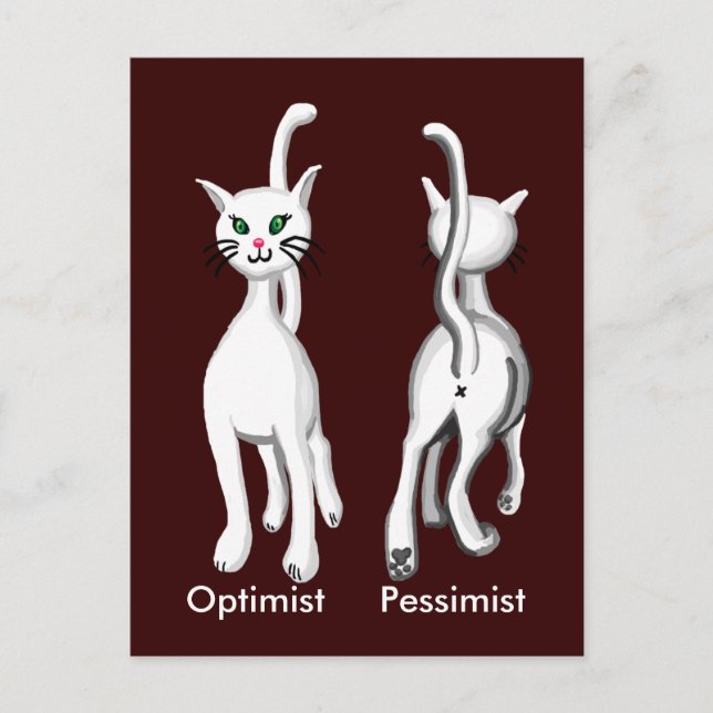 Kitty kitty postcard (Front)