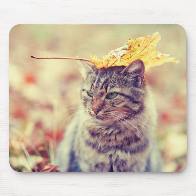 Kitty Leaf Balancing Act Mouse Pad (Front)
