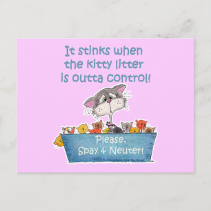 Kitty Litter Stinks Postcard