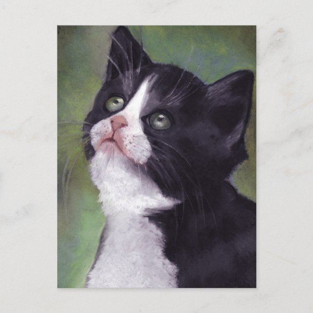 Kitty Looking Up: Cat in Oil Pastel Postcard (Front)