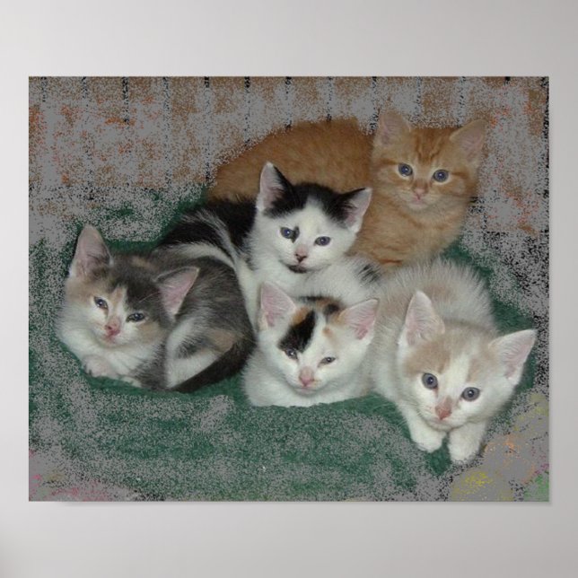 Kitty Love Poster (Front)