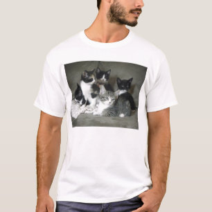 Kitty Love Times 5 T-Shirt