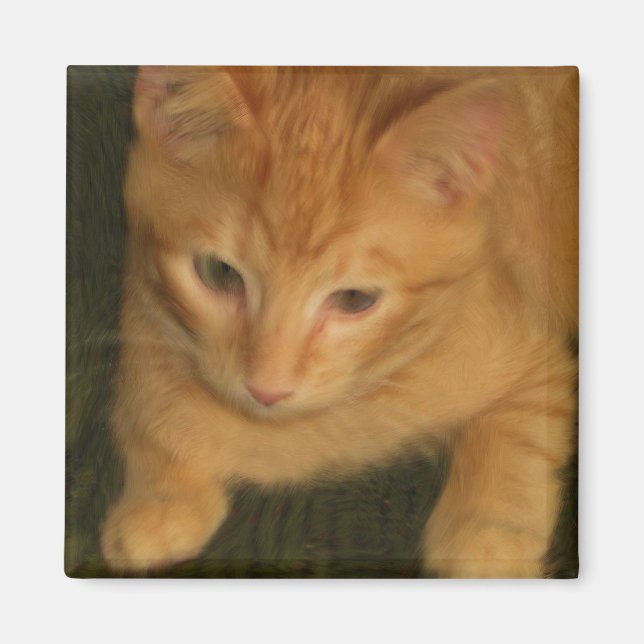 Kitty Magnet (Front)