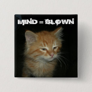 Kitty "MIND = BLOWN" Button