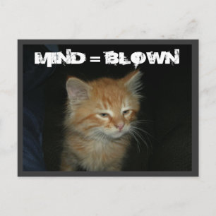 Kitty "MIND = BLOWN" Postcard