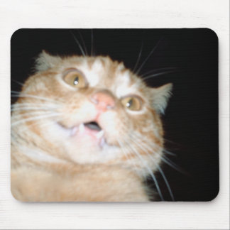 Kitty Mouse Pad