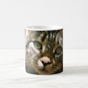 Kitty Mug