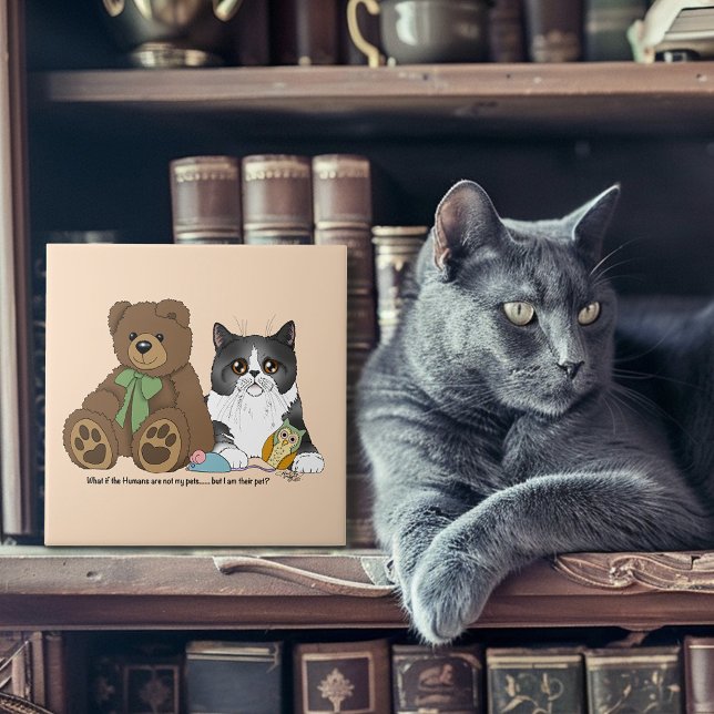 Kitty Not Pet Tile (Creator Uploaded)