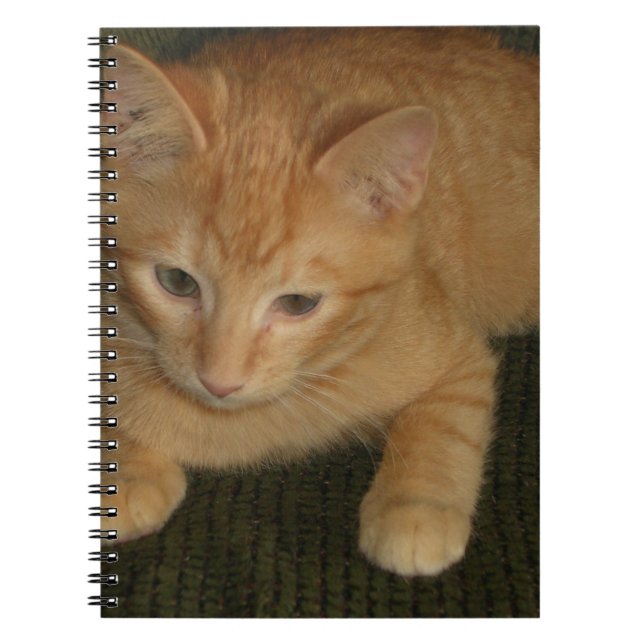 Kitty Notebook (Front)