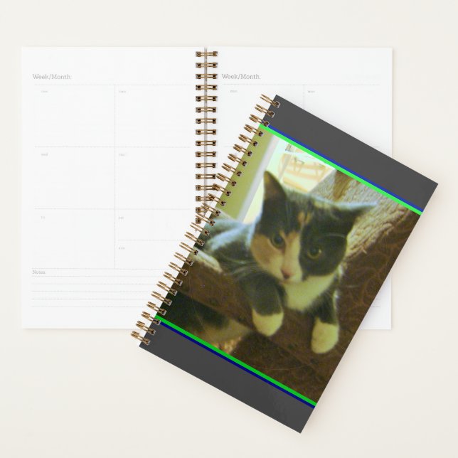 Kitty Planner (Display)