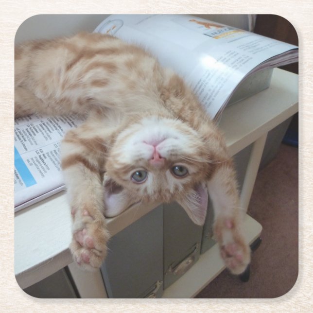 Kitty Relaxing Square Paper Coaster (Front)