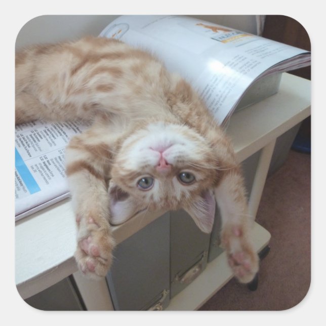 Kitty Relaxing Square Sticker (Front)