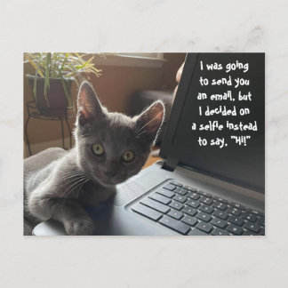 KITTY SELFIE HELLO POSTCARD