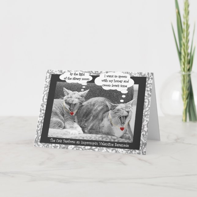 kitty serenade contemporary valentine holiday card (Front)