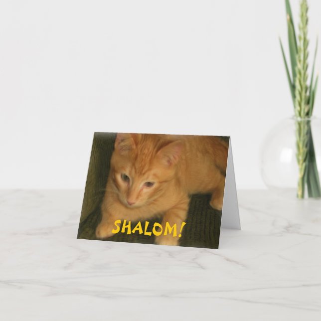 Kitty "SHALOM" Jewish Greeting Card (Front)