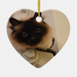 Kitty Siamese Cute Cat Pet Purr Meow Destiny Ceramic Tree Decoration