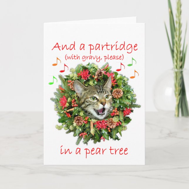 Kitty sings "Twelve days of Christmas" Holiday Card (Front)