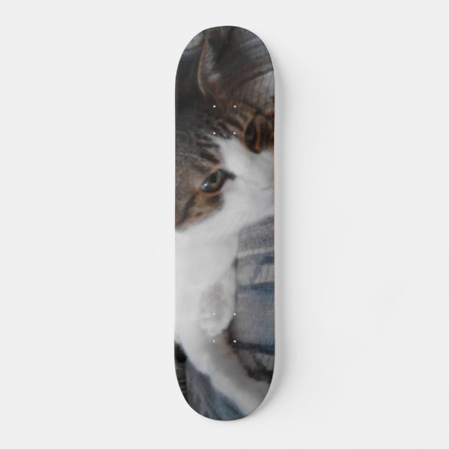 Kitty Skateboard (Front)