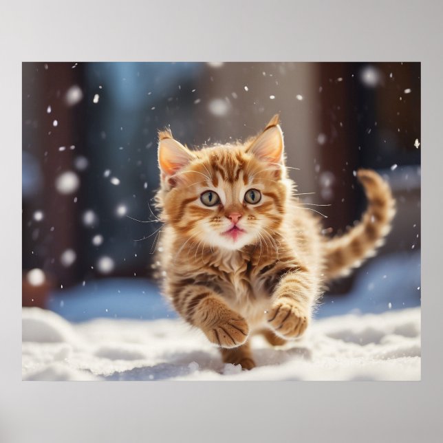*~* Kitty Snow Race 5:4  Kitten Cat AP68 Poster (Front)