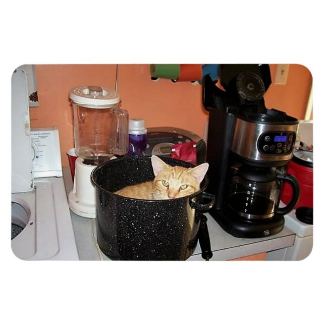 Kitty Stew Magnet (Horizontal)