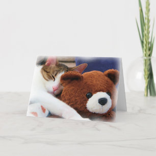 Kitty Teddy Friend Card