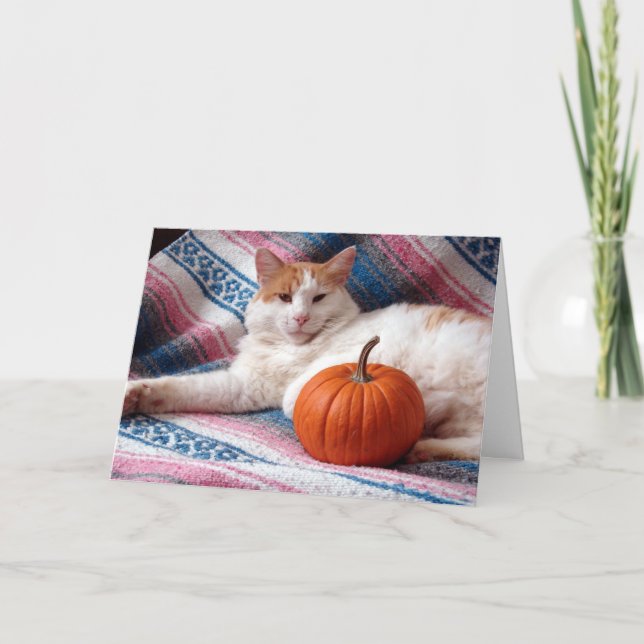 Kitty Thanksgiving Holiday Card (Front)