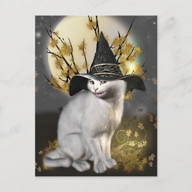 Kitty The Magical Witches Cat Postcard (Front)