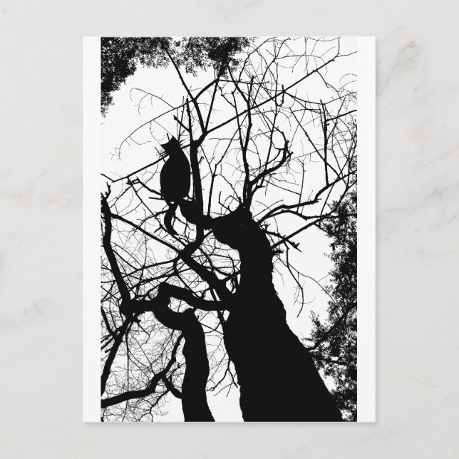 KITTY TREE SILHOUETTE B&W POSTCARD (Front)
