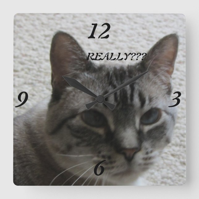 Kitty Tude Wall Clock ! (Front)