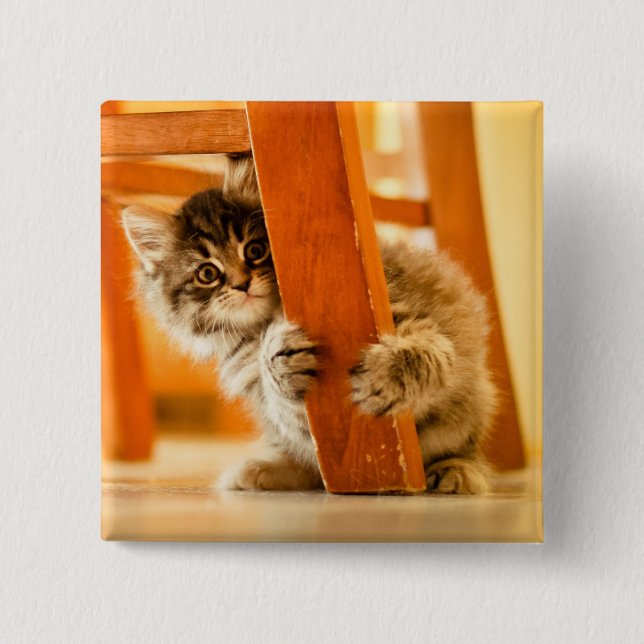 Kitty Under Chair 15 Cm Square Badge (Front)