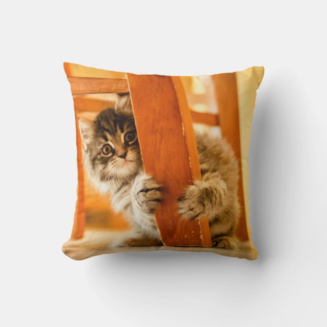 Kitty Under Chair Cushion (Front)