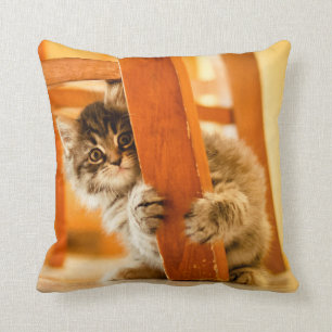 Kitty Under Chair Cushion