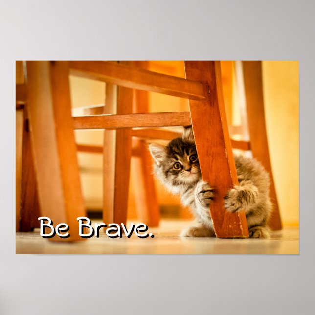 Kitty Under Chair Poster (Front)