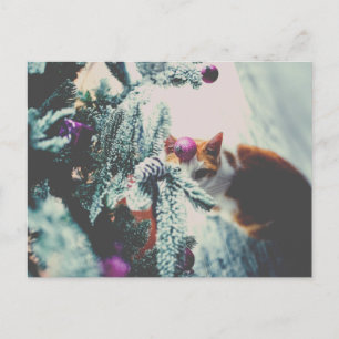 Kitty Under the Christmas Tree Holiday Postcard